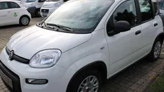 Weiß Neu 2024 Fiat Panda Kleinwagen | 13.690 € (Guter Preis)