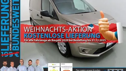 Pyritsilber Gebraucht 2020 Ford Transit Connect Trend Van / Kleinbus | 16.540 € (Etwas zu teuer)