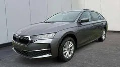 Gebraucht 2025 Skoda Octavia Selection Kombi | 34.180 € (Fairer Preis)