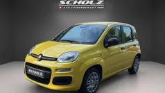 Positano gelb Neu 2025 Fiat Panda Kleinwagen | 15.490 € (Fairer Preis)