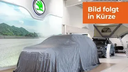 Gebraucht Skoda Kamiq Clever 110 PS (80 kW) 2021 Stahl grau SUV