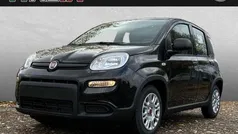 Schwarz Gebraucht 2024 Fiat Panda Kleinwagen | 13.980 € (Fairer Preis)