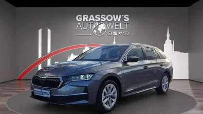 Gebraucht Skoda Octavia Selection 150 PS (110 kW) 2025 Kombi