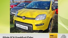 Gelb Gebraucht 2024 Fiat Grande Panda Kleinwagen | 12.688 € (Fairer Preis)