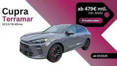 Graphengrau Gebraucht 2024 Cupra Terramar VZ SUV | 49.900 € (Fairer Preis)