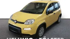 Colore esterno (gelb) Neu 2025 Fiat Panda Kleinwagen | 14.990 € (Fairer Preis)