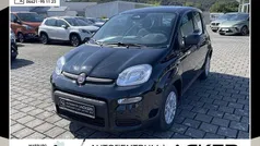 Cinema schwarz Neu 2025 Fiat Panda Kleinwagen | 13.880 € (Fairer Preis)