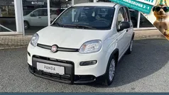 Gelato weiss Gebraucht 2025 Fiat Panda Kleinwagen | 14.990 € (Fairer Preis)