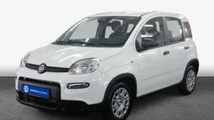 Gelato weiss Neu 2025 Fiat Panda Kleinwagen | 14.998 € (Fairer Preis)