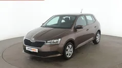 Braun Gebraucht 2020 Skoda Fabia Active Kleinwagen | 10.510 € (Fairer Preis)