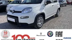 Gelato weiß Neu 2025 Fiat Panda Kleinwagen | 15.990 € (Fairer Preis)