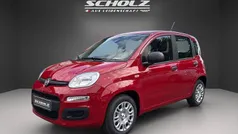 Passione rot Neu 2025 Fiat Panda Kleinwagen | 14.900 € (Fairer Preis)