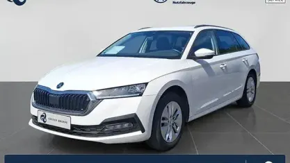 Gebraucht Skoda Octavia Ambition 150 PS (110 kW) 2023 Candyweiß Kombi