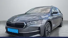 Gebraucht 2024 Skoda Octavia Selection Kombi | 31.949 € (Fairer Preis)