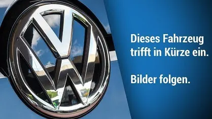 Gebraucht VW Golf VIII R 333 PS (244 kW) 2026