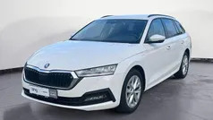 Weiß Gebraucht 2023 Skoda Octavia Kombi | 25.830 € (Fairer Preis)