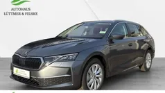 Grau Gebraucht 2024 Skoda Octavia Selection Kombi | 31.790 € (Guter Preis)