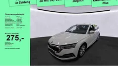 Gebraucht 2023 Skoda Octavia Style Kombi | 24.190 € (Guter Preis)