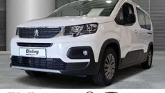 Peugeot e-Rifter