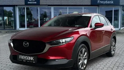 Gebraucht Mazda CX-30 Selection 180 PS (132 kW) 2019 Rot SUV