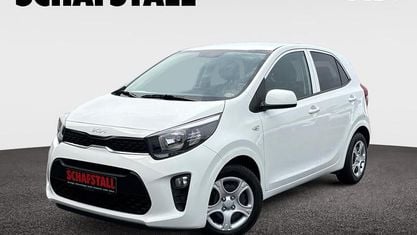 Käytetty Kia Picanto Vision 67 HP (49 kW) 2024 Valkoinen Viistoperä