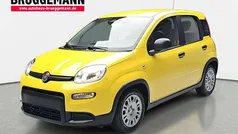 Gelb Gebraucht 2024 Fiat Panda Kleinwagen | 12.890 € (Fairer Preis)