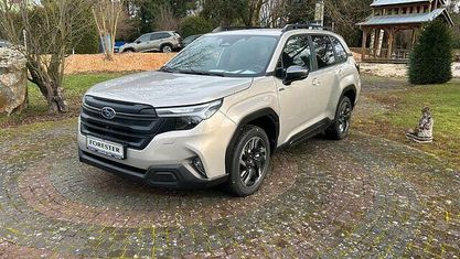 Nouvelle Subaru Forester Active 136 ch (100 kW) 2026 Doré SUV