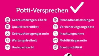 Gebraucht VW Polo LOUNGE 60 PS (44 kW) 2016 Flashrot Limousine