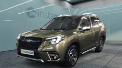 Grün Neu 2024 Subaru Forester Active SUV | 37.240 € (Fairer Preis)