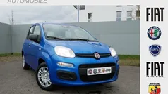 Gebraucht 2025 Fiat Panda | 14.990 €