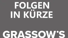 Magnetic grau Gebraucht 2025 Seat Arona FR SUV | 26.990 € (Teuer)