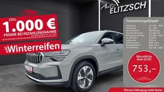 Gebraucht 2024 Skoda Kodiaq Selection SUV | 45.980 € (Guter Preis)