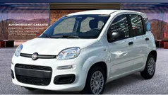Weiß Neu 2025 Fiat Panda Kleinwagen | 14.490 € (Fairer Preis)
