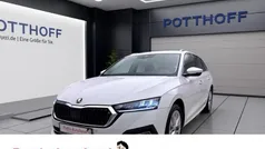 Weiß Gebraucht 2023 Skoda Octavia Style Kombi | 24.477 € (Guter Preis)