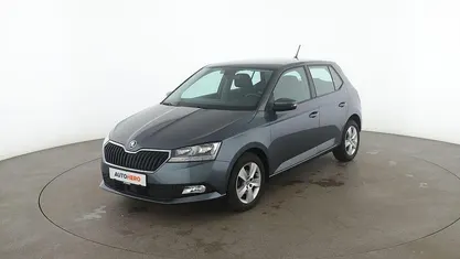 Grau Gebraucht 2020 Skoda Fabia Style Kleinwagen | 12.660 € (Guter Preis)