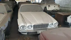 Weiß Gebraucht 1981 Jaguar XJ6 Limousine | 7.499 €