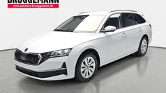 Weiß Neu 2025 Skoda Octavia Kombi | 33.890 € (Fairer Preis)