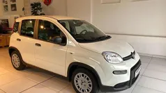 Gebraucht 2024 Fiat Panda Kleinwagen | 14.990 € (Fairer Preis)