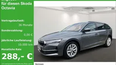 Gebraucht 2024 Skoda Octavia Selection Kombi | 29.950 € (Fairer Preis)
