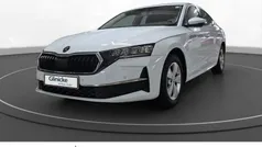 Moonweiss metallic Gebraucht 2024 Skoda Octavia Selection Limousine | 31.855 € (Fairer Preis)