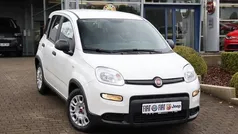 Weiss Gebraucht 2023 Fiat Panda Kleinwagen | 12.990 € (Fairer Preis)