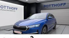 Blau Gebraucht 2024 Skoda Octavia Selection Kombi | 31.777 € (Fairer Preis)