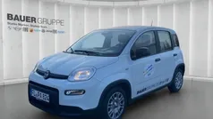 Weiss) (weiss Gebraucht 2024 Fiat Panda Cross Cross Kleinwagen | 12.650 € (Guter Preis)