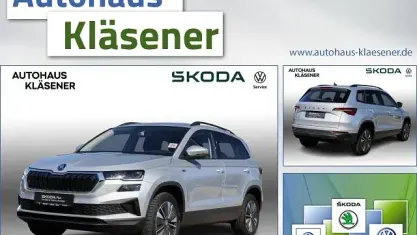 Used Skoda Karoq Tour 150 HP (110 kW) 2025 Silver SUV