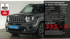 Grau Gebraucht 2024 Jeep Renegade SUV | 25.624 € (Fairer Preis)