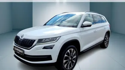 Gebraucht Skoda Kodiaq Drive 190 PS (139 kW) 2021 Moonweiss metallic SUV