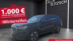 Gebraucht 2024 Skoda Kodiaq Selection SUV | 45.980 € (Guter Preis)