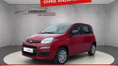 Rot Neu 2025 Fiat Panda Kleinwagen | 13.600 € (Guter Preis)