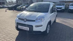 Weiß Gebraucht 2025 Fiat Panda Kleinwagen | 15.089 € (Fairer Preis)