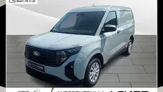 Cactus grey Neu 2025 Ford Transit Trend Van / Kleinbus | 20.680 € (Superpreis)